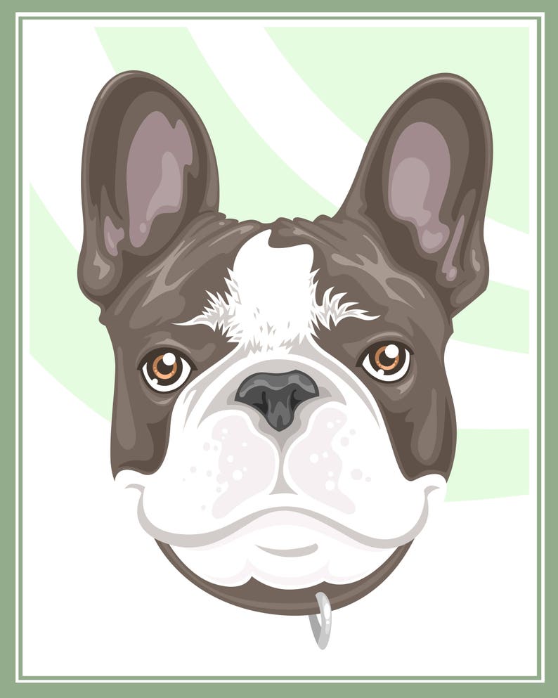 Stylized Pet Portrait image 1