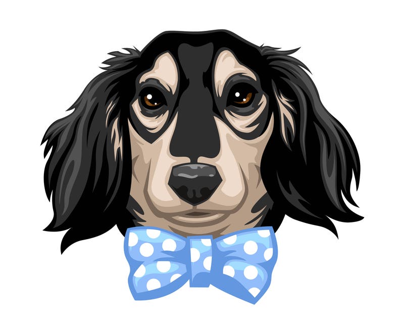 Stylized Pet Portrait image 9