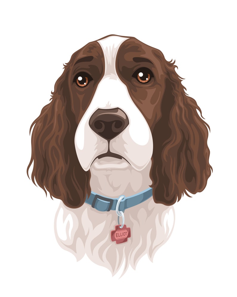 Stylized Pet Portrait image 8