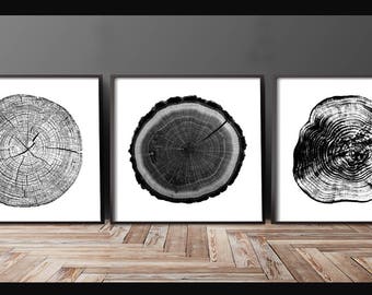 Tree Stump Tree Rings set of 3 12x12 inches log rings, Black and white, tree poster, tree art, log stamp, log print, Tree print, gifts under