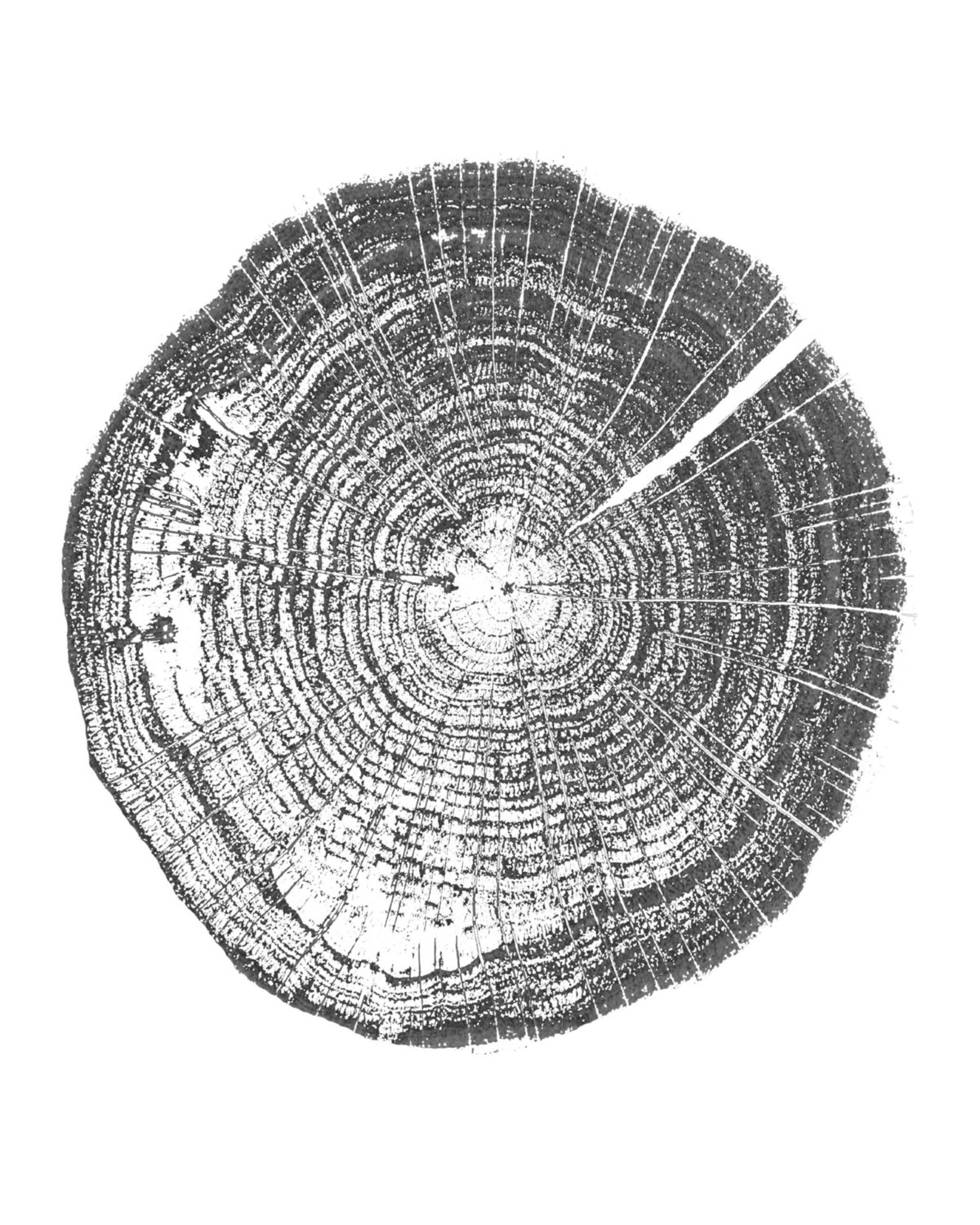 Log stamp 16x20 Inches Tree rings Log Raw wood ink blot Etsy