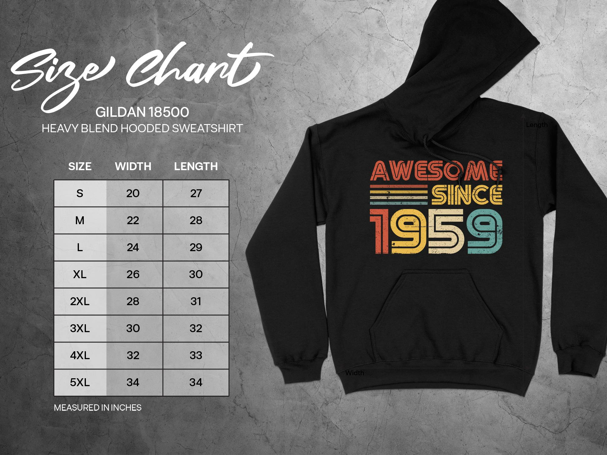 65th Birthday Gift Vintage 1959 Awesome Since Retro Year Hoodie