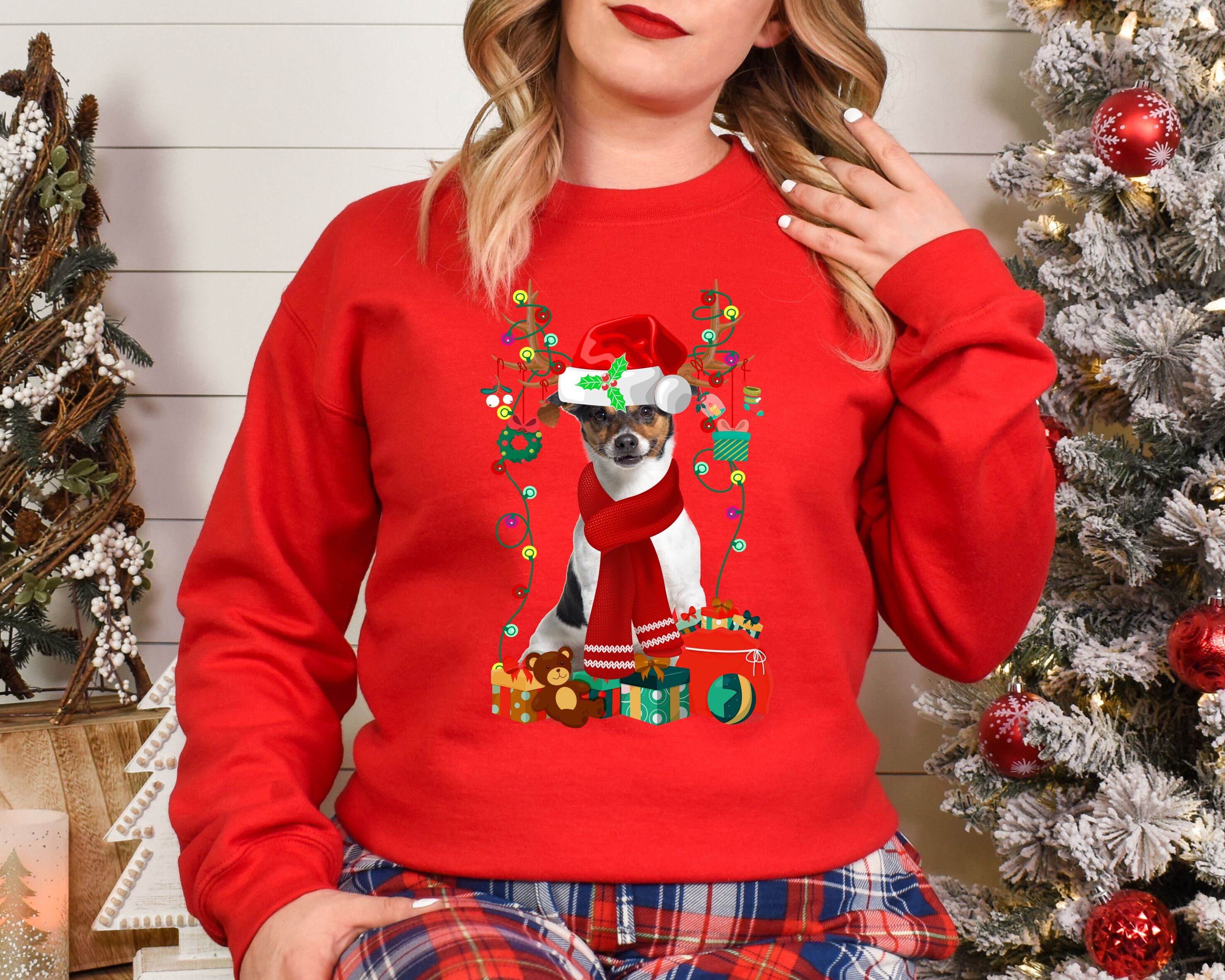 462 Terrier Di Jack Russell Natale Con I Regali Foto Stock - Foto - Foto 2