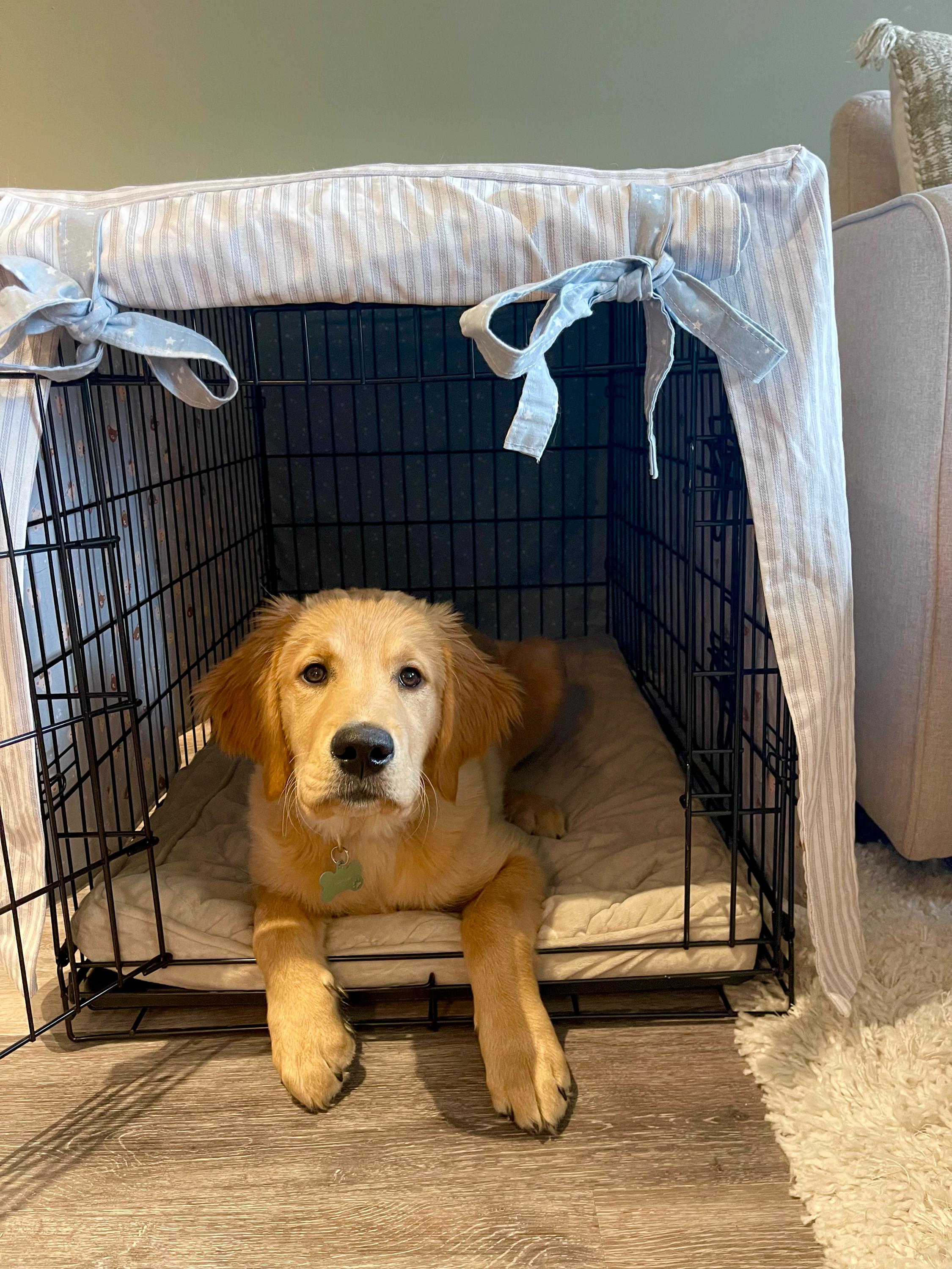 Dog Crate Cover | Fully Lined | Reversible | Customizable - Etsy
