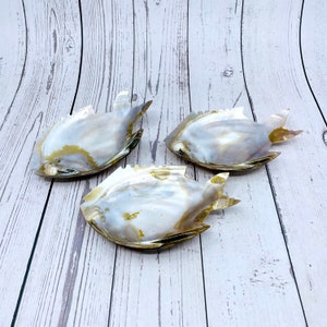 May include: Three iridescent white and gold fish-shaped serving dishes made of mother of pearl. The dishes are arranged on a white wooden surface.