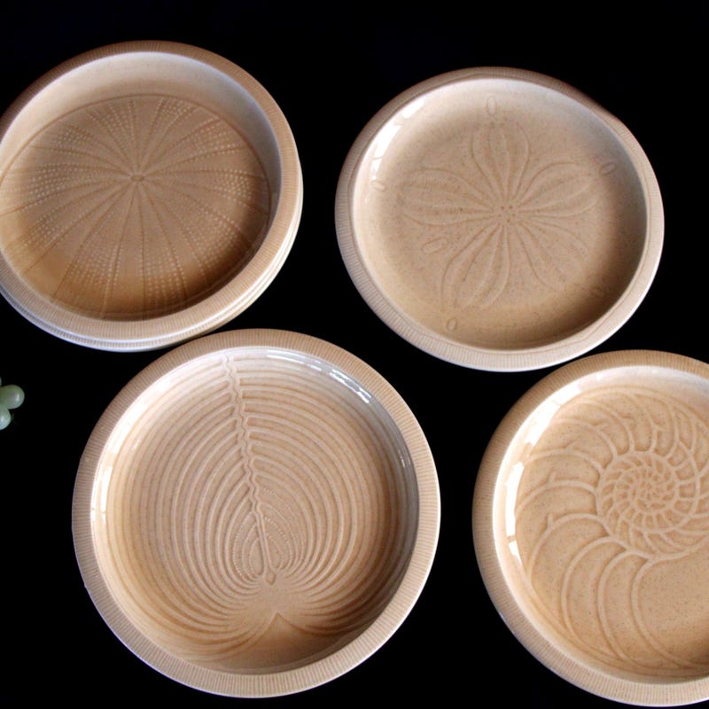 Ocean Single Shell Sea Shell Dinner Plate - Etsy