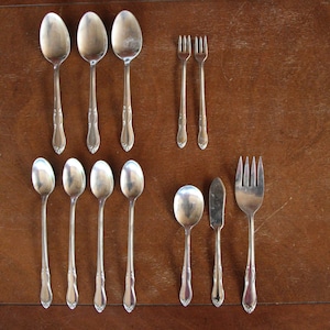 1991 - 1995 Vintage - Oneida / Simeon & George Rogers - HOMESTEAD - Stainless Steel Flatware - Lot of 12 Pieces - Good Condition