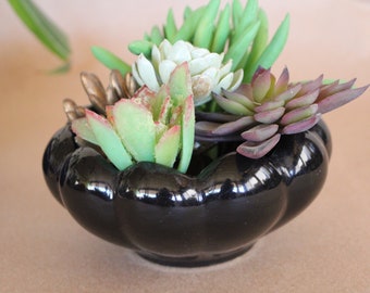 Mid Century Vintage - Ceramic / Pottery - Succulent / Bulb Planter - Glossy Black Glaze - USA 509 - Very Good Condition