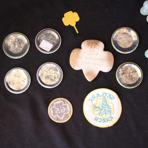 May include: A collection of Girl Scout badges and pins, including a round badge with a green four-leaf clover and the text "Girl Scout" and a round badge with a green tree and the text "Zynk Park Branch".