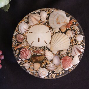 1960&#39;s Mid Century Vintage - D & M Resin - Sand Dollar + Seashells - Round Trivet - 6 3/4 inches - Very Good Condition