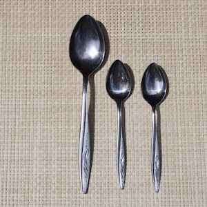 May include: A set of three stainless steel spoons featuring a polished finish and a decorative leaf-like pattern embossed on the lower handle. The collection includes one large dinner spoon and two smaller spoons, all displaying a consistent design.