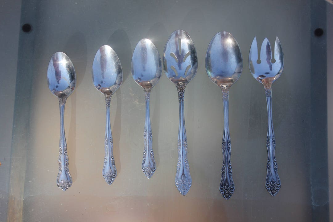 1970's Vintage Rogers Stainless Steel Flatware / Silverware dream Rose