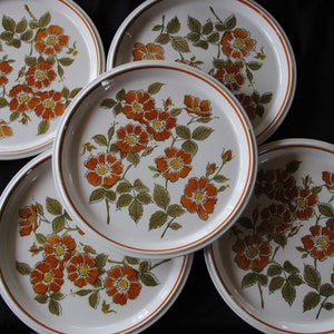 1970's Vintage - Mikasa - Light and Lively - GO GO / GOGO - Set of Five ( 5 ) Dinner Plates - 10 7/8 inches - Very Good  Condition