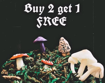 Buy 2 get 1 FREE mushroom earrings