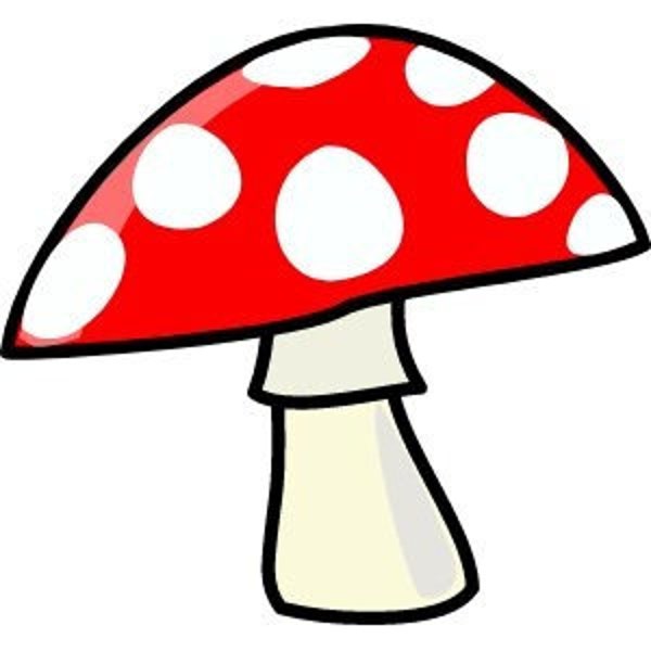 Red Mushroom Counted Cross Stitch Pattern, Amanita muscaria Fungus, White Polka Dotted Plant, Embroidery Guide, Easy Beginner Patterns