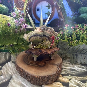 Miniature Fairy Garden Bark and Conk Bench