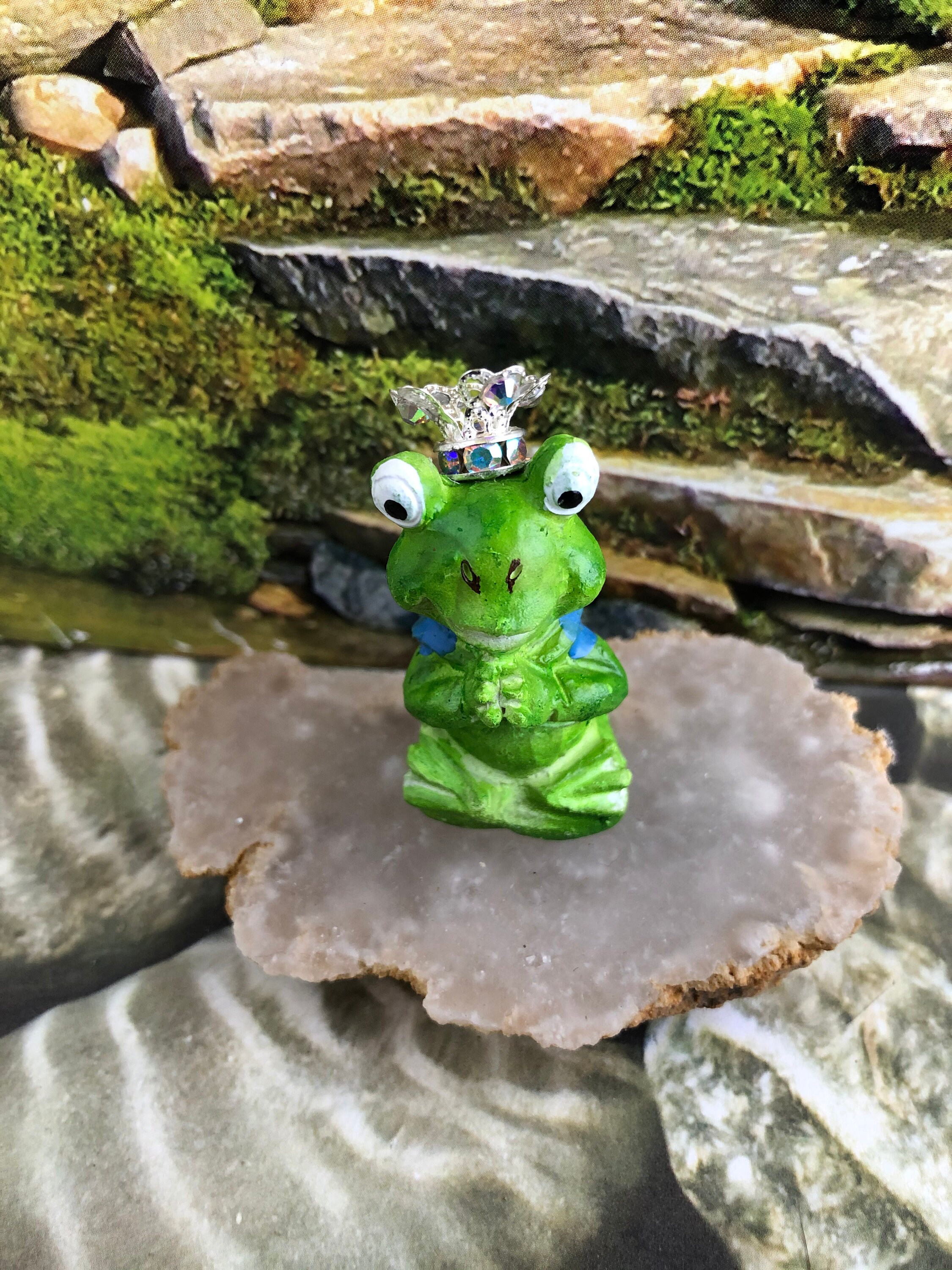 Frog Prince Fairy Garden Frog Toad Fairy Pet Fairy Garden Etsy Australia