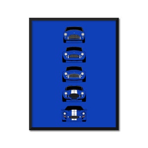 Shelby Cobra Inspired Car Poster Print of the History and Evolution of the Shelby Cobra CSX2000 289 427 Ace Bristol MK AX2 (Unframed)