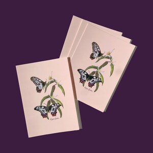 Zwaluwstaartvlinder 4 briefkaartpakketten