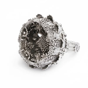 Könnte beinhalten: Ein silberner Ring mit einem detaillierten, komplizierten Design. Der Ring besteht aus vielen kleinen, filigranen Teilen, die ein florales Muster bilden. Der Ring ist in der Mitte offen und zeigt einen Hohlraum.