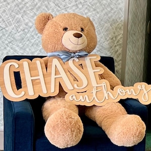 May include: A large, plush teddy bear with a light blue bow tie, seated in a dark blue armchair. A wooden sign with the name "CHASE" and "anthony" in a layered design is in front of the bear.