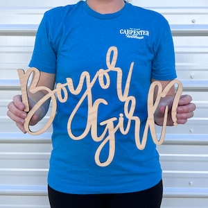 Boy or Girl? Sign | Boy or Girl Wooden Sign | Gender Reveal | Cute Baby Shower back drop | Oh Baby Backdrop | Baby Announcement | Oh Boy