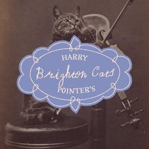 24 Whimsical Victorian Cat Photos Digital Download | 1870s Brighton Cats Vintage Clip Art | Junk Journal Supplies Printable Scrapbook Paper