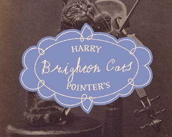 Viktorianische Katzenfotos | 1870er Jahre Brighton Cats Clip Art (digitaler Download)