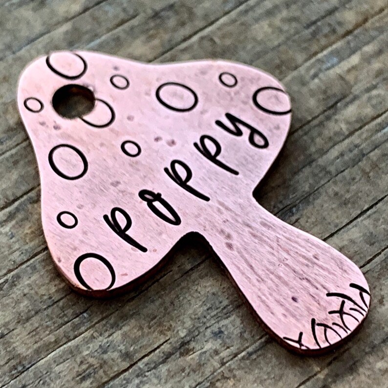 Dog Tag Mushroom Dog Tags for Dogs Personalized Dog Tag Etsy