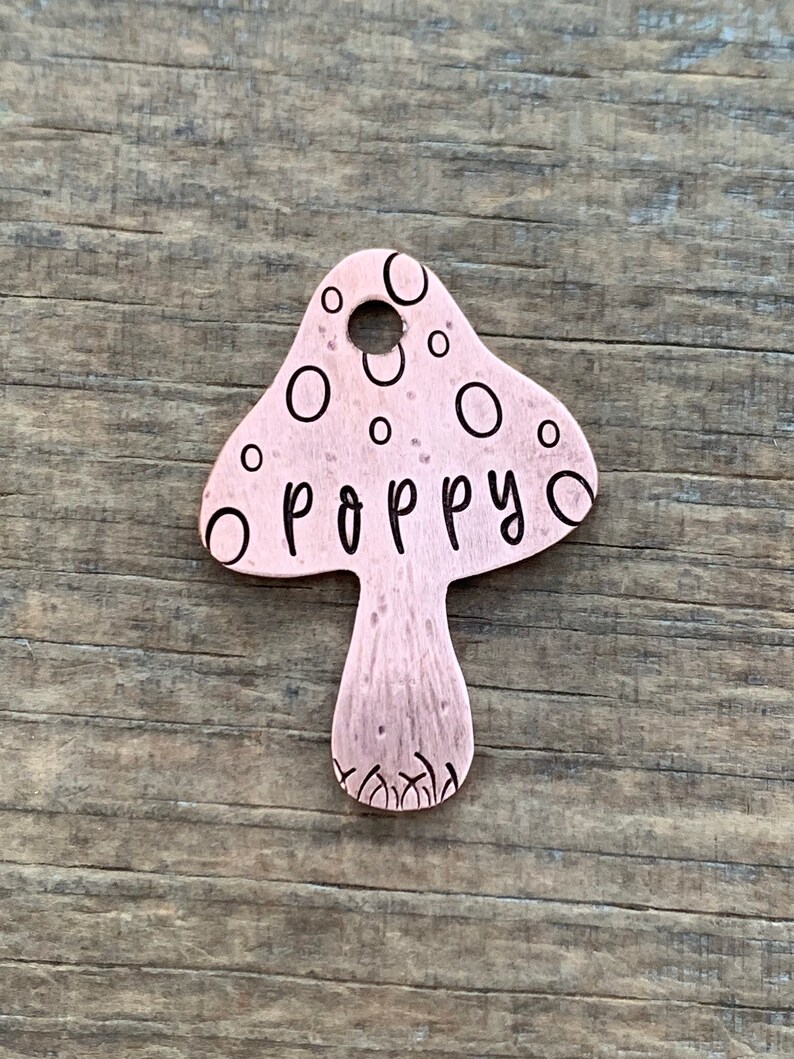 Dog Tag Mushroom Dog Tags for Dogs Personalized Dog Tag Etsy