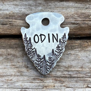 May include: Silver arrowhead-shaped pet tag with a fern design and the name "ODIN" engraved on it.