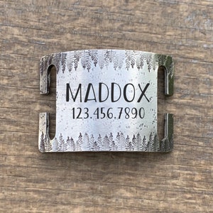 May include: A silver metal dog tag with a fern design. The tag is engraved with the name 'MADDOX' and the phone number '123.456.7890'.