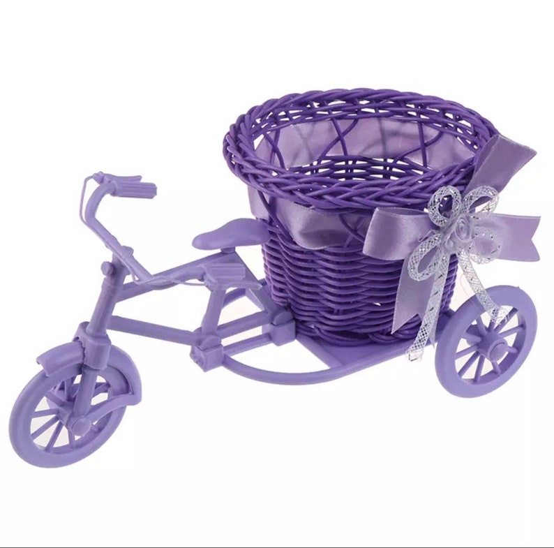 Woven Bicycle Planter Basket