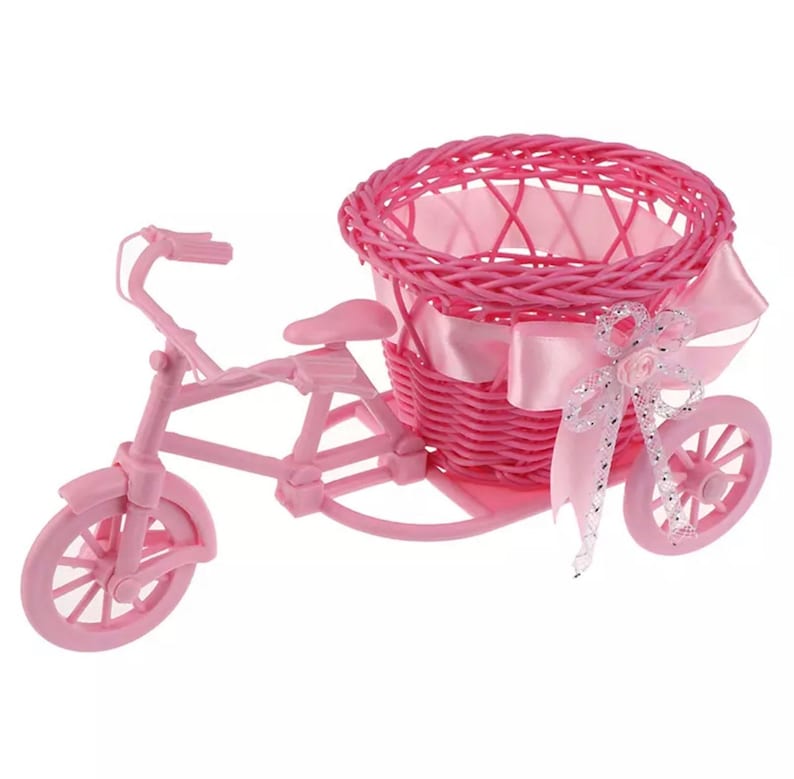 Woven Bicycle Planter Basket