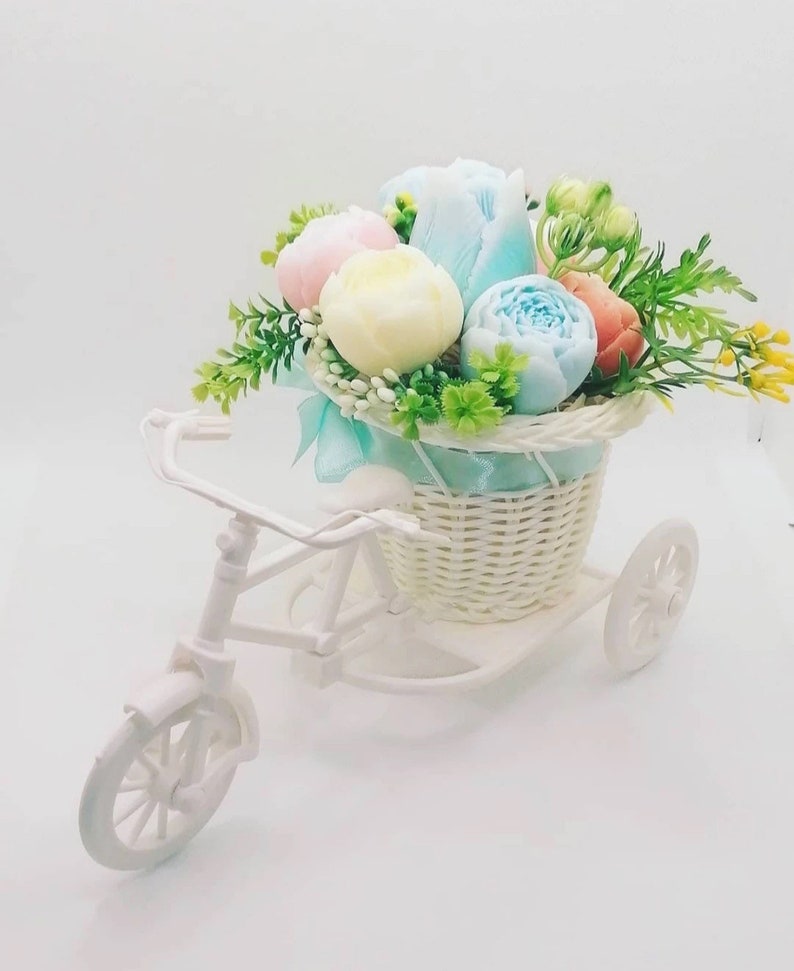 Woven Bicycle Planter Basket