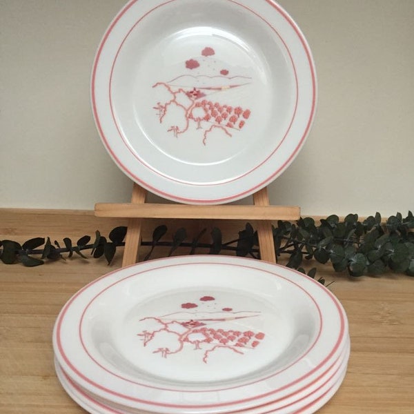 6 assiettes plates/Vintage/Arcopal