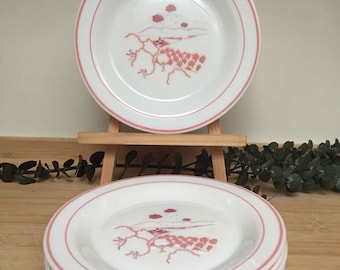 Assiettes dessert arcopal vintage - Arts de la table