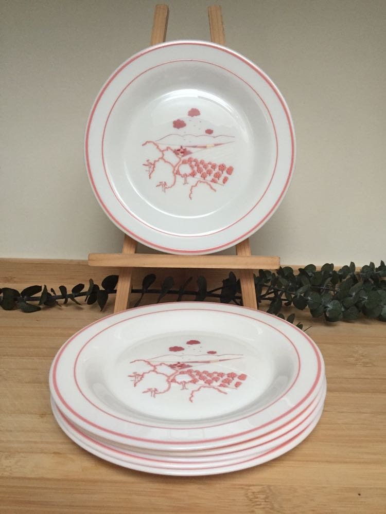 6 Assiettes à Dessert Arcopal Roses De France - Vintage, Occasion, Motif Fleuri