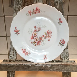6 dessert plates with floral decoration, vintage, Arcopal France