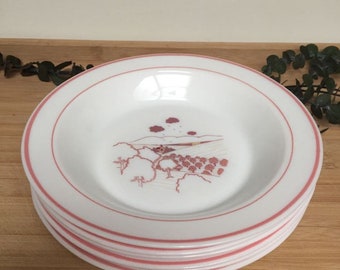 Lot de 5 assiettes creuses Arcopal vintage des années 70, dé