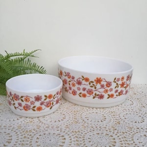 Ensaladera grande y Ramekin Scana