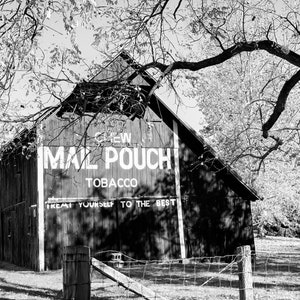 Mail Pouch Tobacco Barn Digital Image