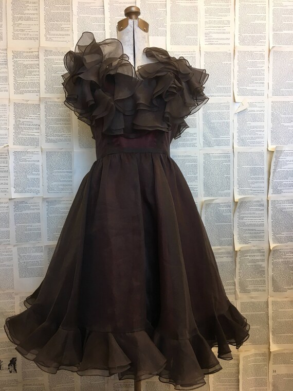 Vintage Ruffled Organza Dress