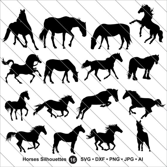 Download Horse Silhouettes Svg Horse Clipart Animal Silhouettes Etsy