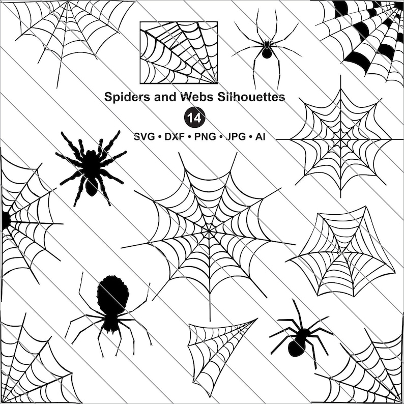 Spiders Webs Silhouettes, Spiders Clipart, bundle svg, spiderweb