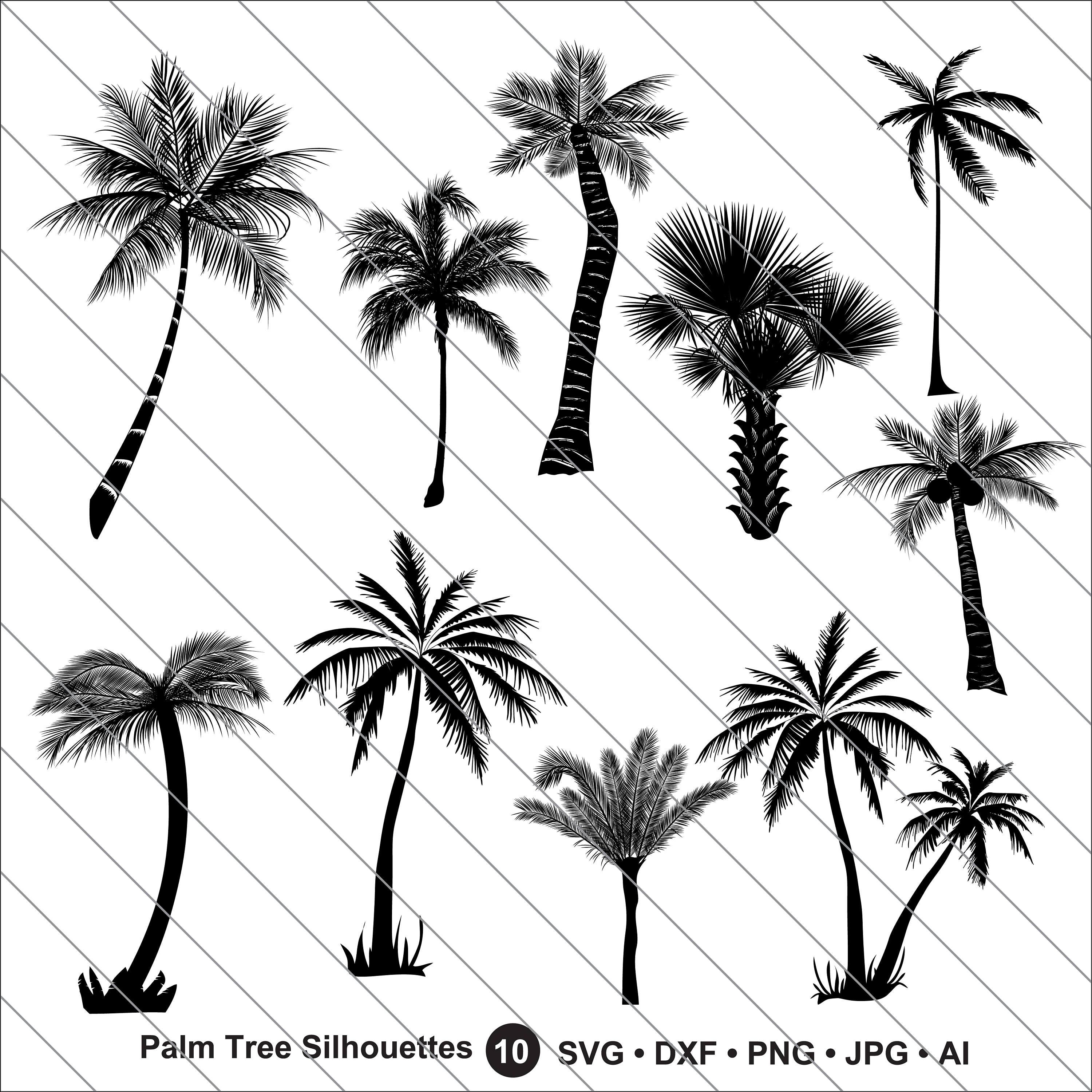 Download Palm Tree Silhouettes Svg Palm Tree Clipartbundle Svgpalm Etsy