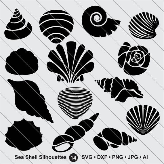 Lot De Sea Shell Silhouettes Svg Coquillage Clipart Svg Svg Etsy Canada
