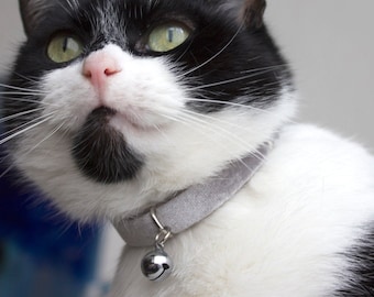 Grey silver velvet cat collar with bell  breakaway, soft fancy hip unique cat bunny collar