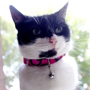Rose pink black velvet cat collar with bell breakaway, soft fancy hip unique cat, bunny collar