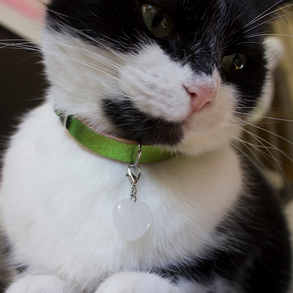 Fluorescent green wash leather cat collar with pale rose quartz heart gemstone- reflective personalized phone or id-chakra healing crystal